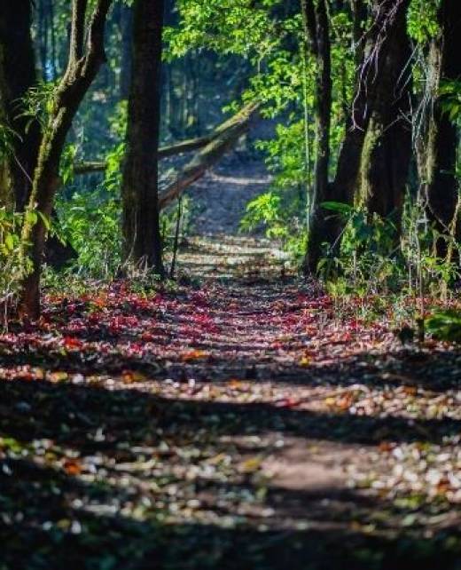 Bir başlık ekleyin (81)